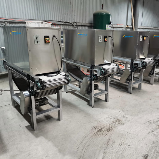 Garlic Cleaning Machine