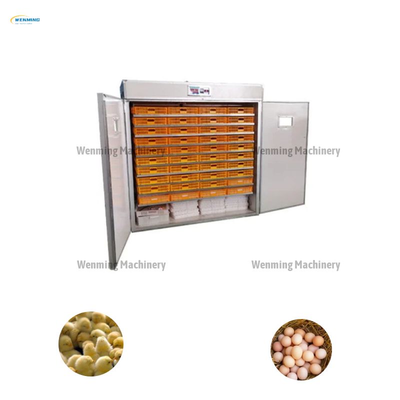 Small Chicken Incubator