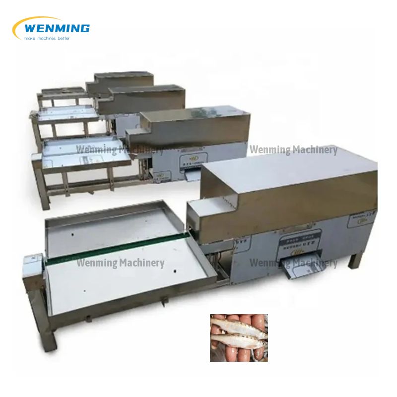 Automatic Fish Viscera Removal Machine