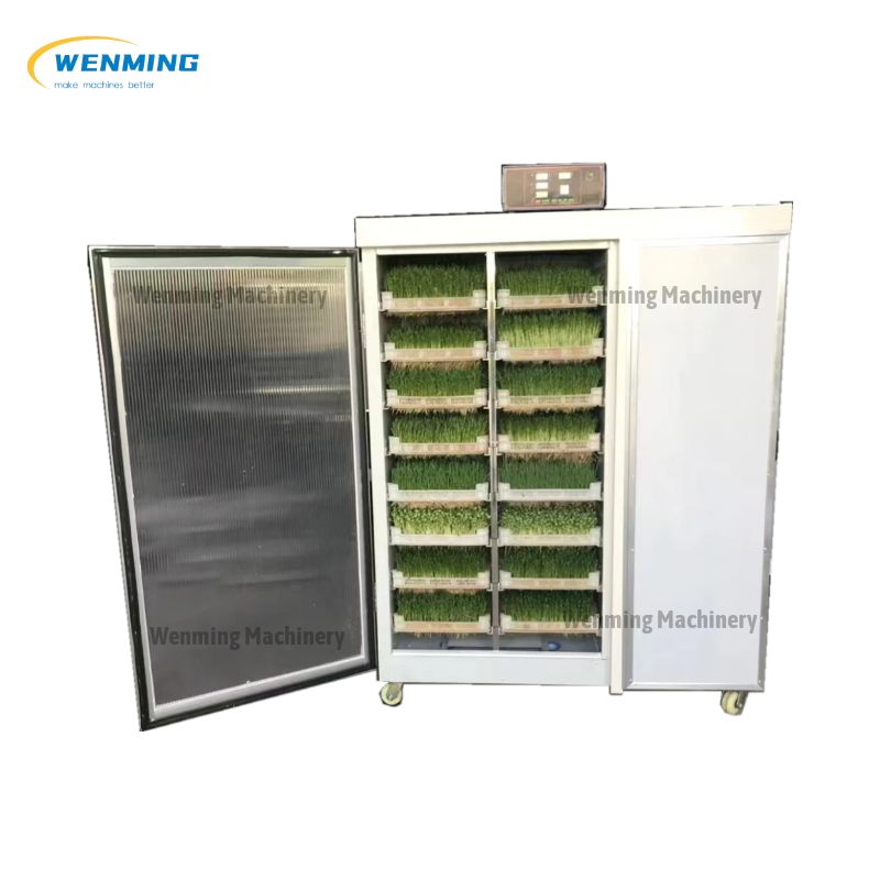 Hydroponic Fodder