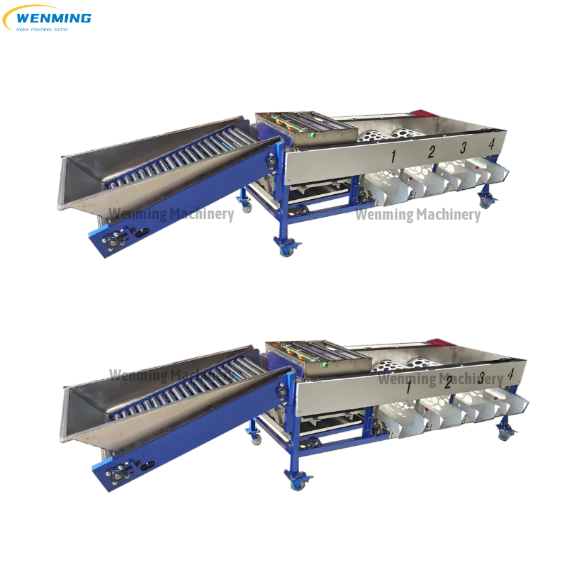 Garlic Sorting Machine