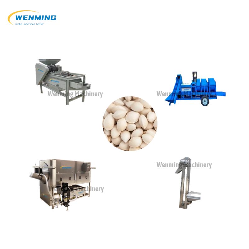 Fully Automatic Pistachio Peeling Machine Production Line