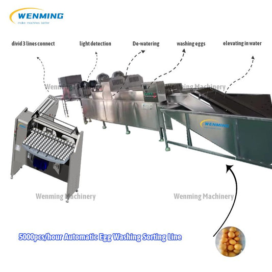 Automatic-Egg-Washing-Sorting-Line