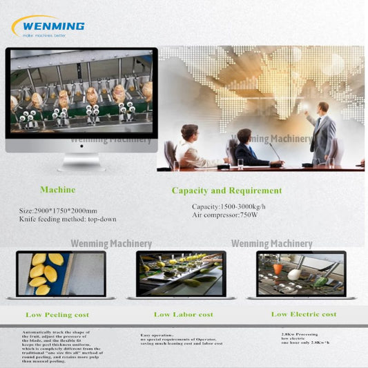 Eggplant Peeling Machine