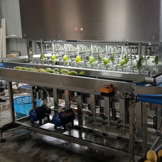 Loofah Zucchini fruits peeling machine