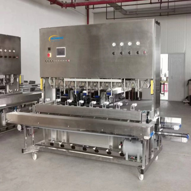 Mango Peeler Machine