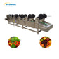 Automatic Potato Air Blower Dryer Machine