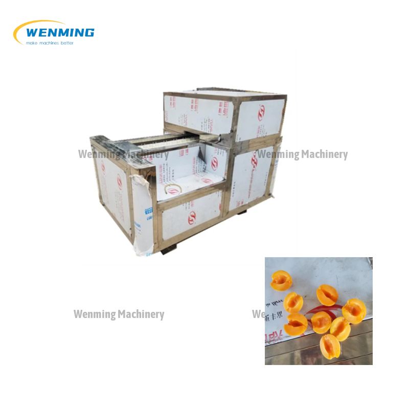 Apricot Seed Remove Machine