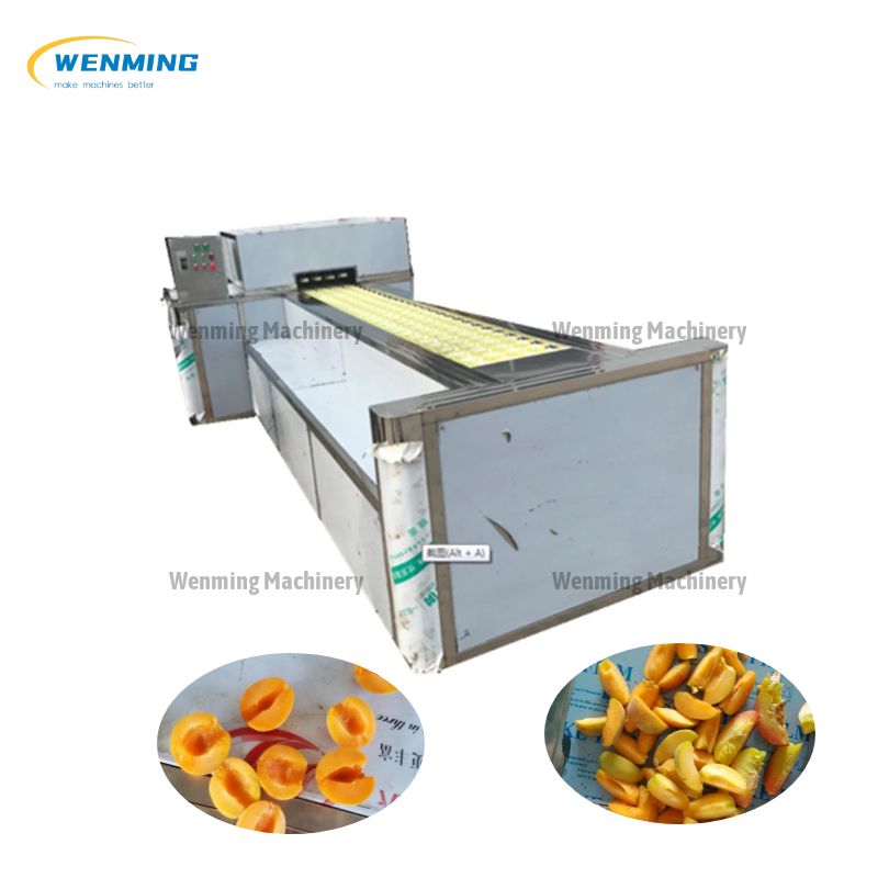 Apricot Kernel Removing Machine