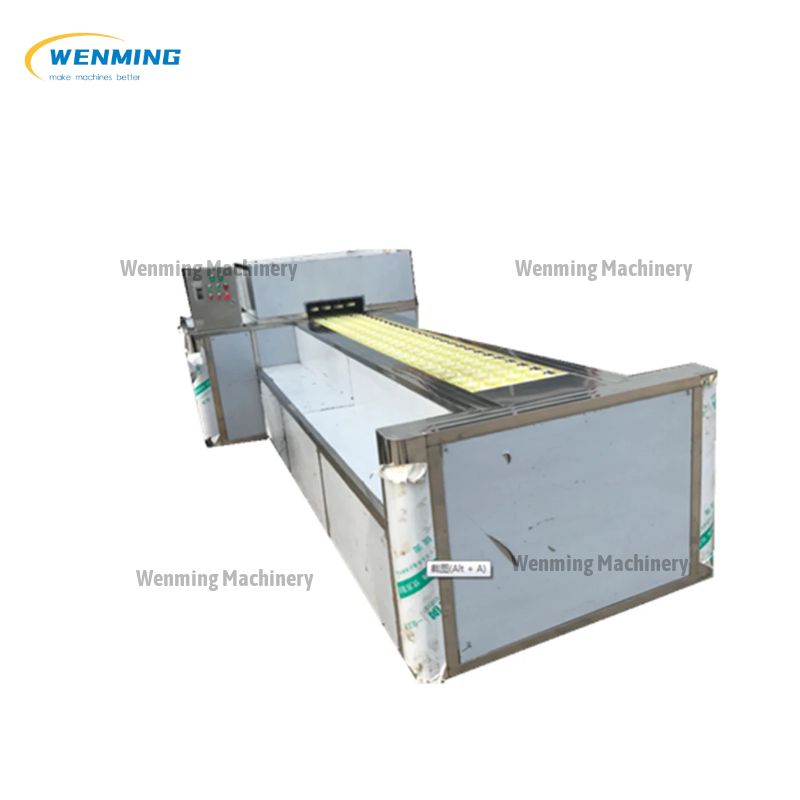Apricot Seed Remover Machine
