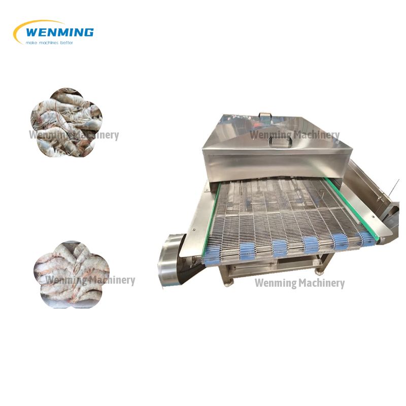 高速冰衣机 海鲜冰衣机 – WM machinery