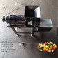 Electric Juicer Extractor Machine