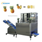 Pineapple Peeling Machine