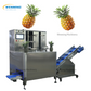 Fruit Peeling Machine
