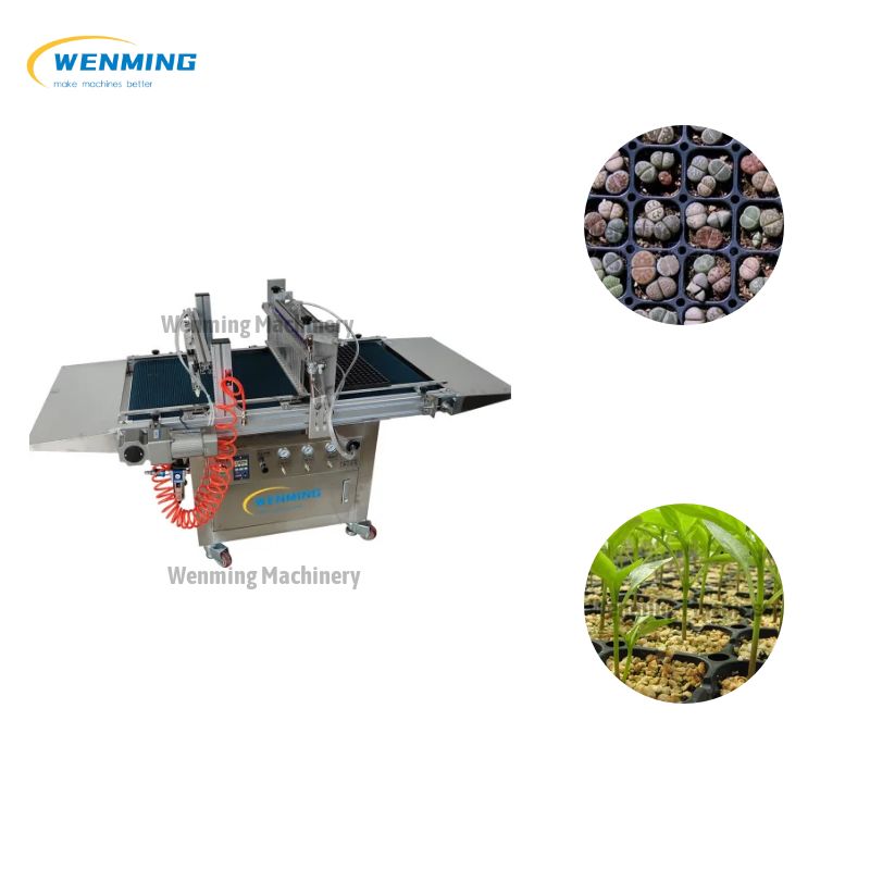 Automatic Type Seedling Machine