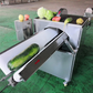 Automatic wax gourd half cutting machine