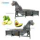  Avocado Pulping Machine 