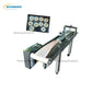 Bagel Bun Bread Auto Forming Machine