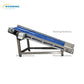 Carrot Processing Line