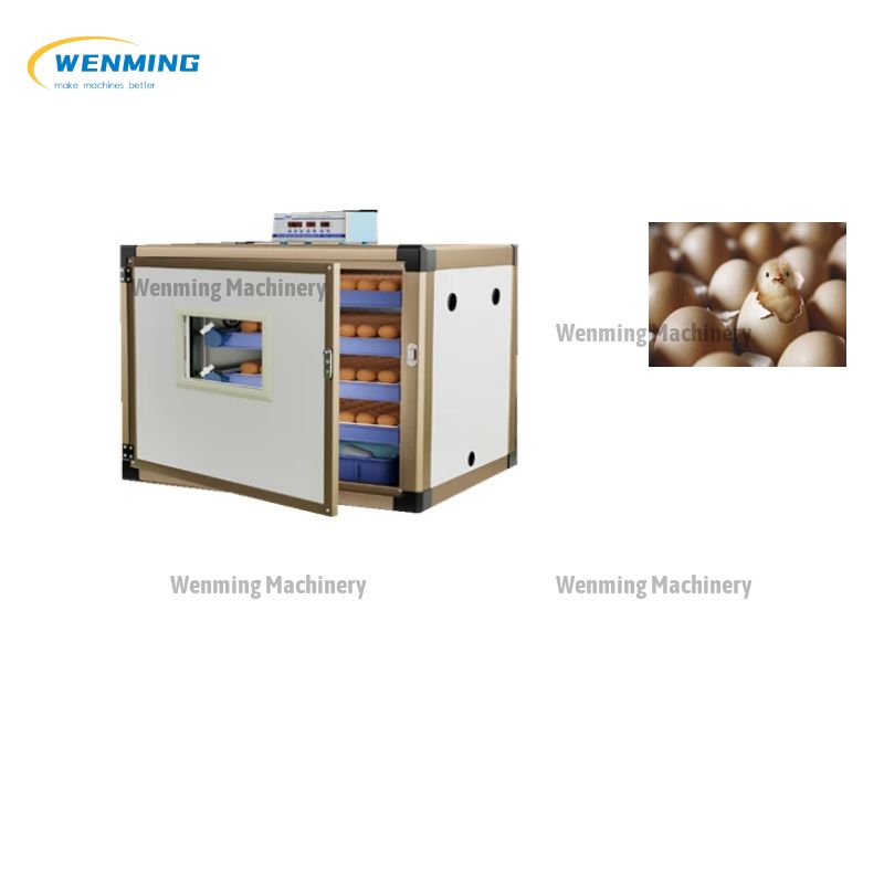 Best Chicken Incubator