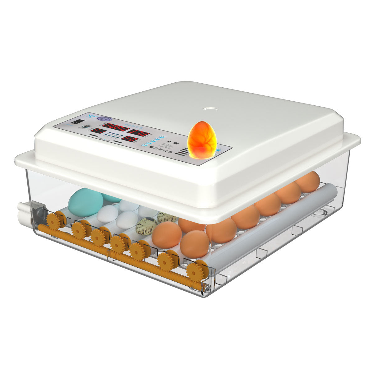 高生产力多功能孵化器和孵化鸡蛋的孵化器