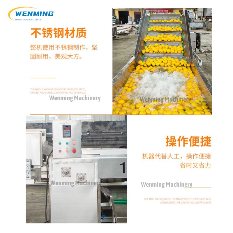 Fruit and Vegetable Cleaning Drying Waxing and Grading Production Line