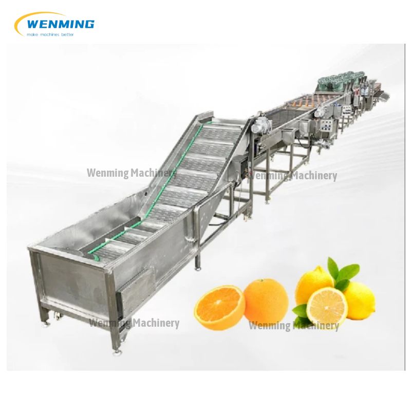 Fruit and Vegetable Cleaning Drying Waxing and Grading Production Line