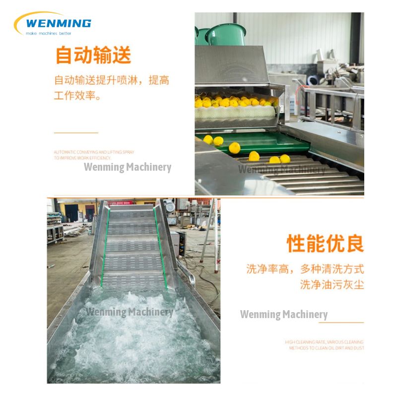 Fruit and Vegetable Cleaning Drying Waxing and Grading Production Line