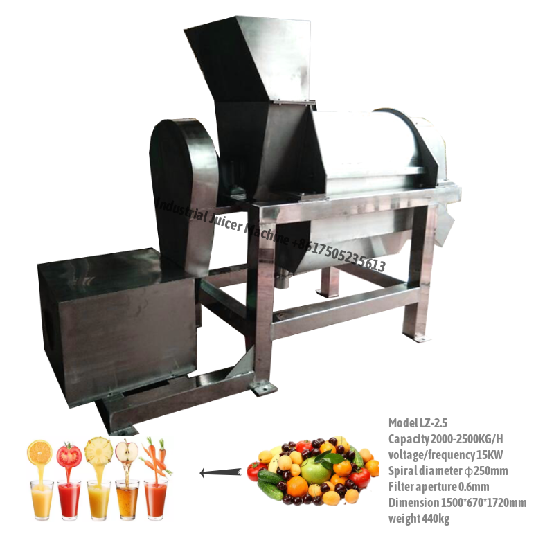 ginger juicer extractor machine