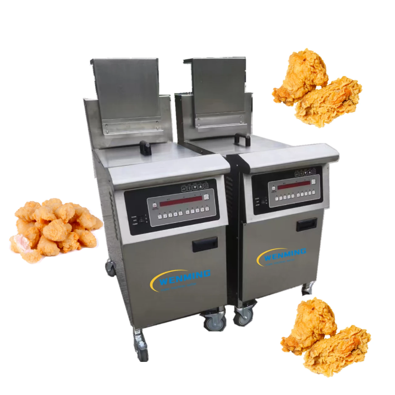 Double Fryer 