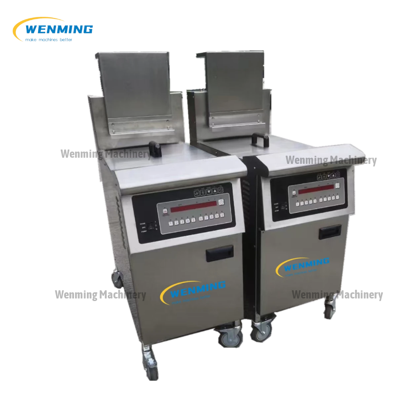 Electric Fryer 