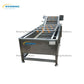 Cabbage Processing Production Line