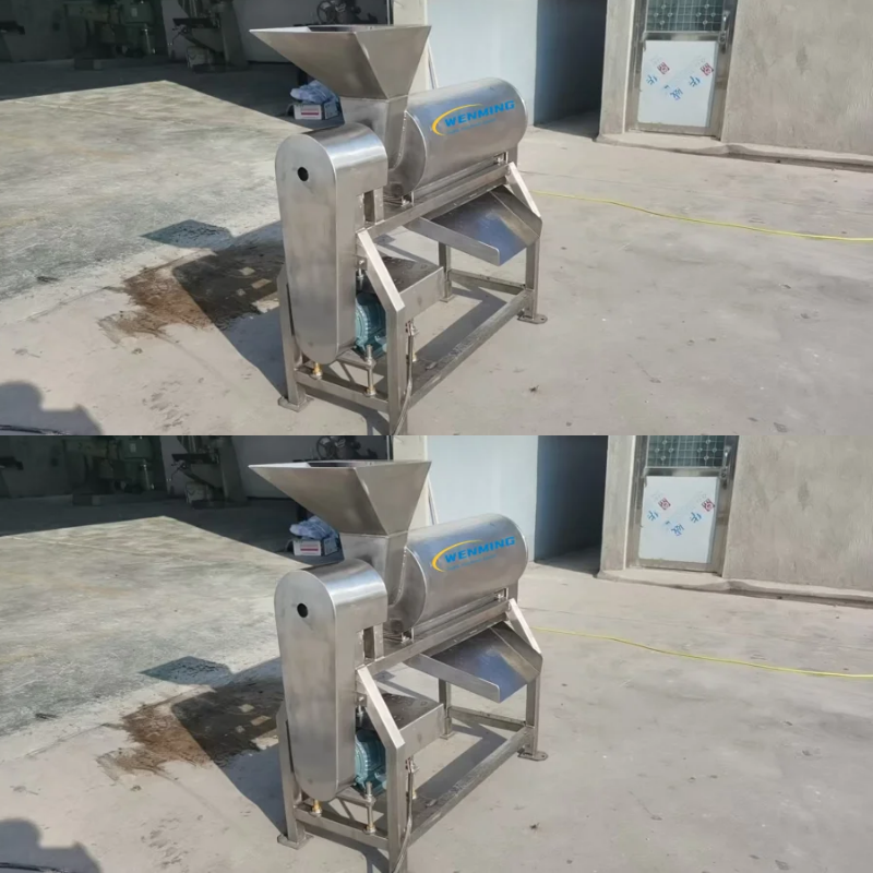 Fruit Pulp Juice Making Machine