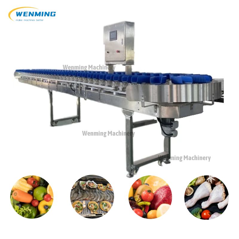 Oyster Sorting Machine