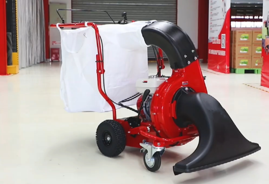 Leaf Cleaning Machine