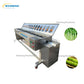 Carrot Peeling Machine