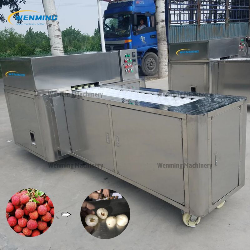 Longan seed removing machine