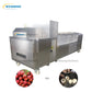 Lychee Longan Pitter Machine 