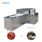 Longan Seed Removing Machine 