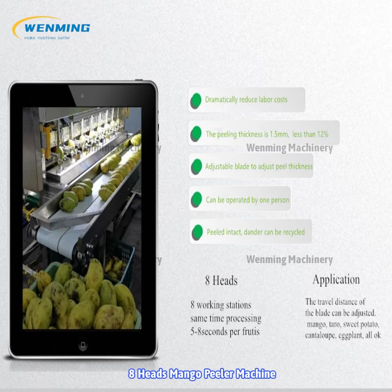 Industrial Fruit Peeler-Lemon Peeler machine-Wenming Machinery – WM  machinery