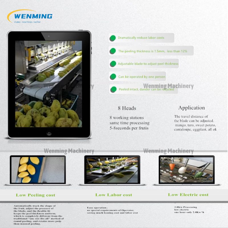 Industrial Fruit Peeler-Lemon Peeler machine-Wenming Machinery – WM  machinery