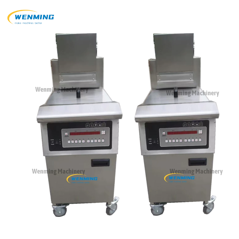 Electric Fryer 