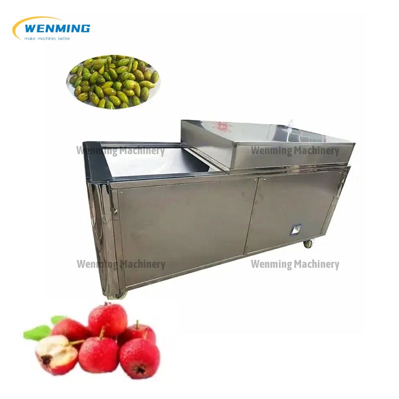 Plum Seed Separator Machine