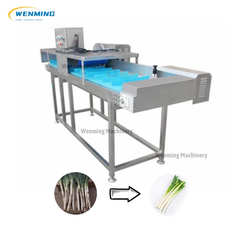 Garlic Peeling Machine at Best Price in Hyderabad, Telangana