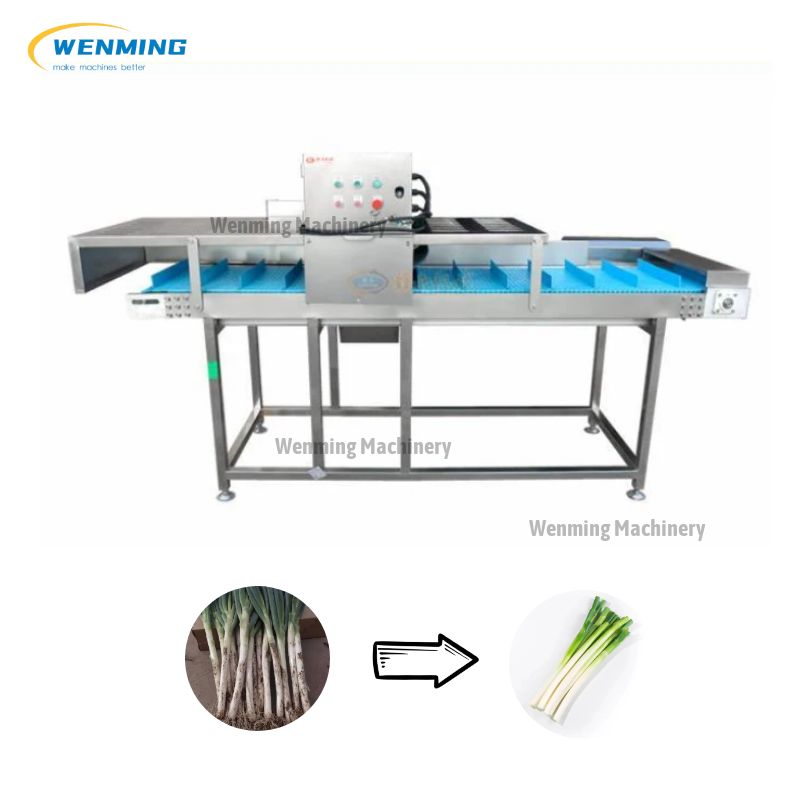 Spring Onion Peeling Machine