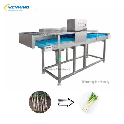 Carrot Root Cutting Machine