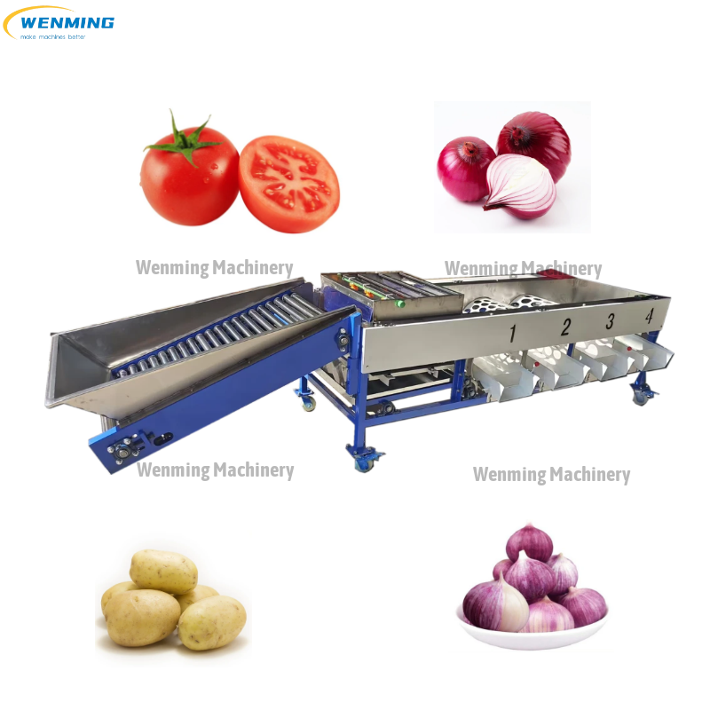 Sorter Sorting Grading Machine 