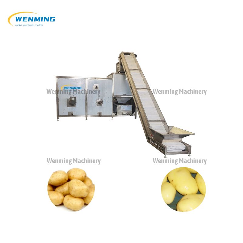 Onion Steam Peeling Machine