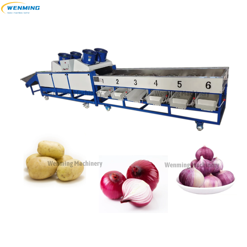Tomato Sorter Grading Sorting Machine 