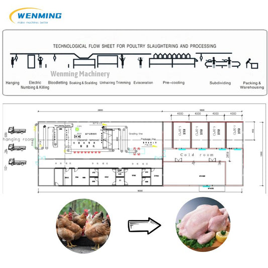 Chicken Slaughtering Line